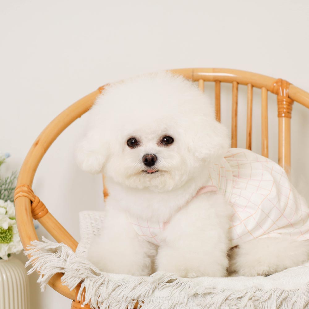 冷感防虫メッシュチェックノースリーブワンピース+キャップSET