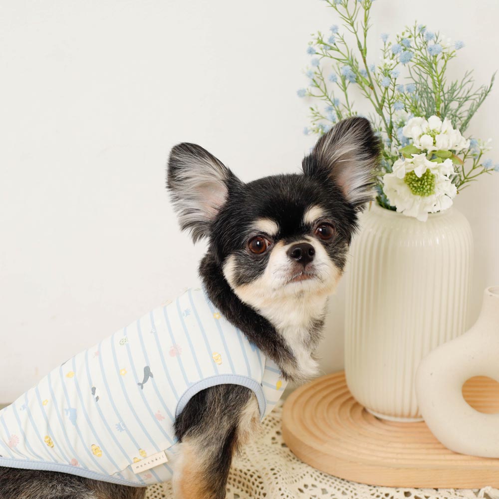 冷感マリンプリントノースリーブボタン付きトップス