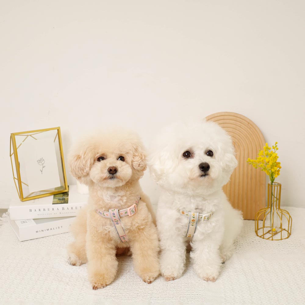 反射花卉刺绣线束+导线设置【名称刺绣对应】