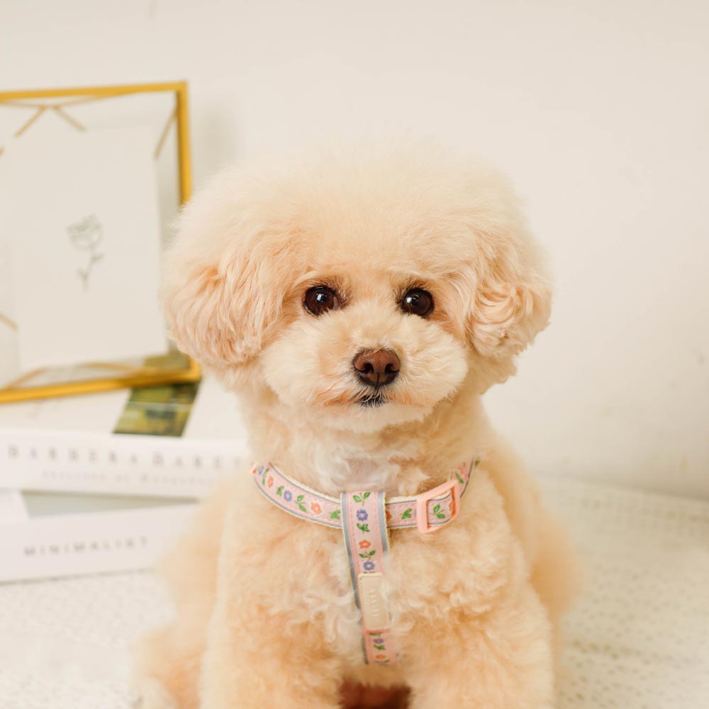 反射花卉刺绣线束+导线设置【名称刺绣对应】