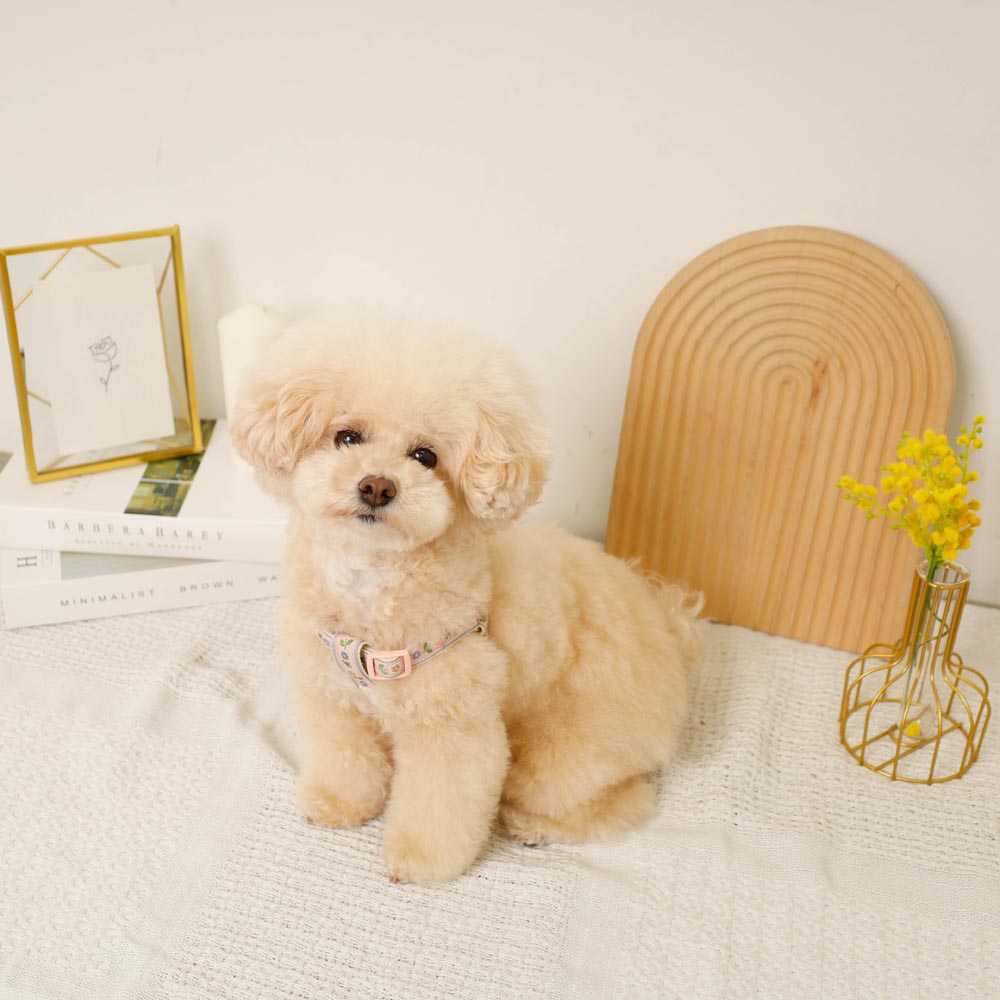 反射花卉刺绣线束+导线设置【名称刺绣对应】