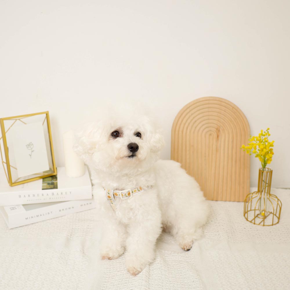 反射花卉刺绣线束+导线设置【名称刺绣对应】