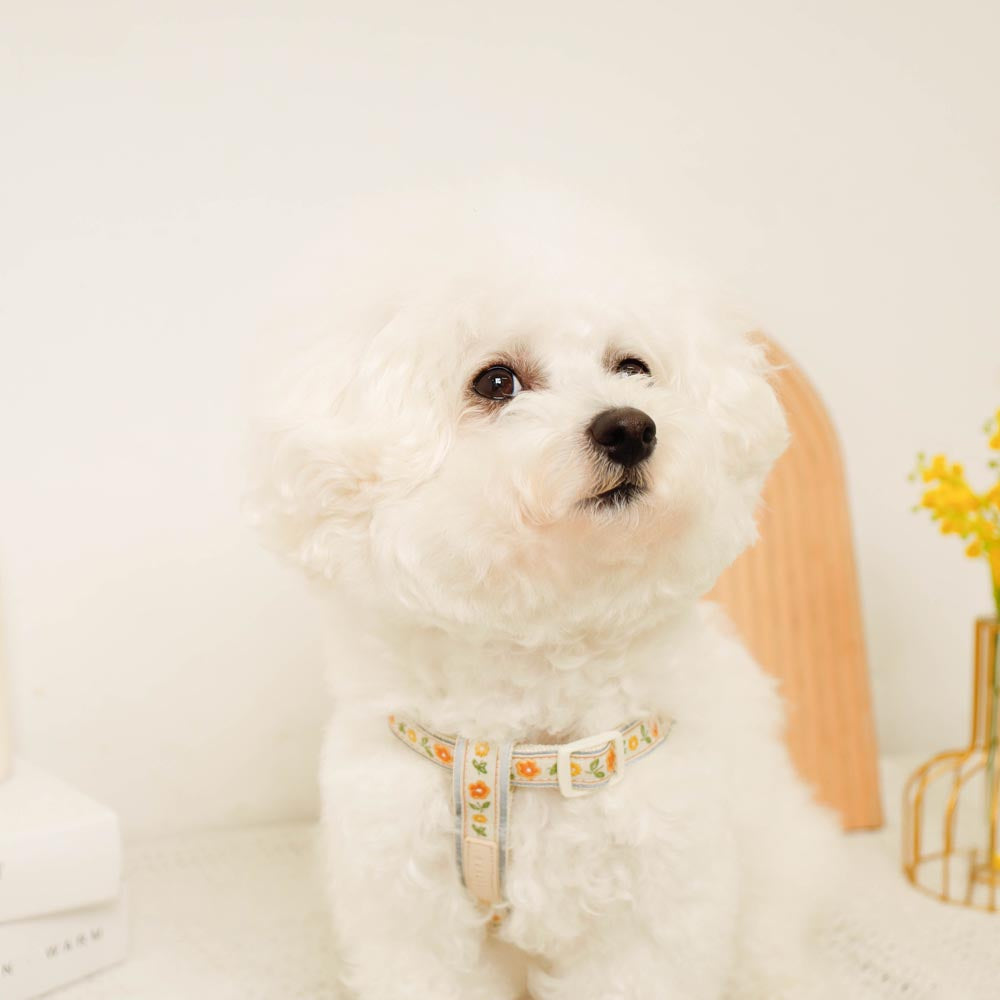 反射花卉刺绣线束+导线设置【名称刺绣对应】