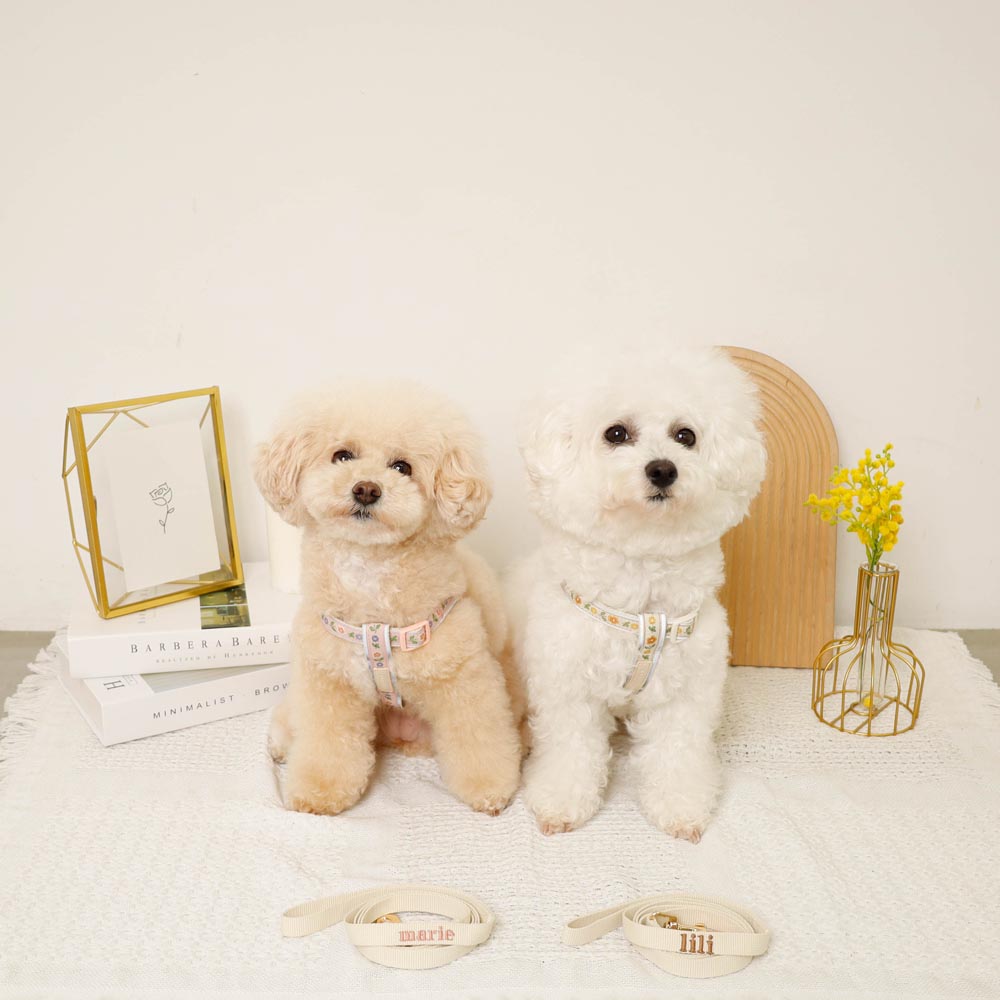 反射花卉刺绣线束+导线设置【名称刺绣对应】