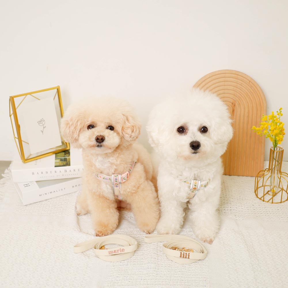 反射花卉刺绣线束+导线设置【名称刺绣对应】