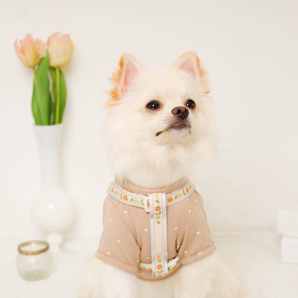 反射花卉刺绣线束+导线设置【名称刺绣对应】