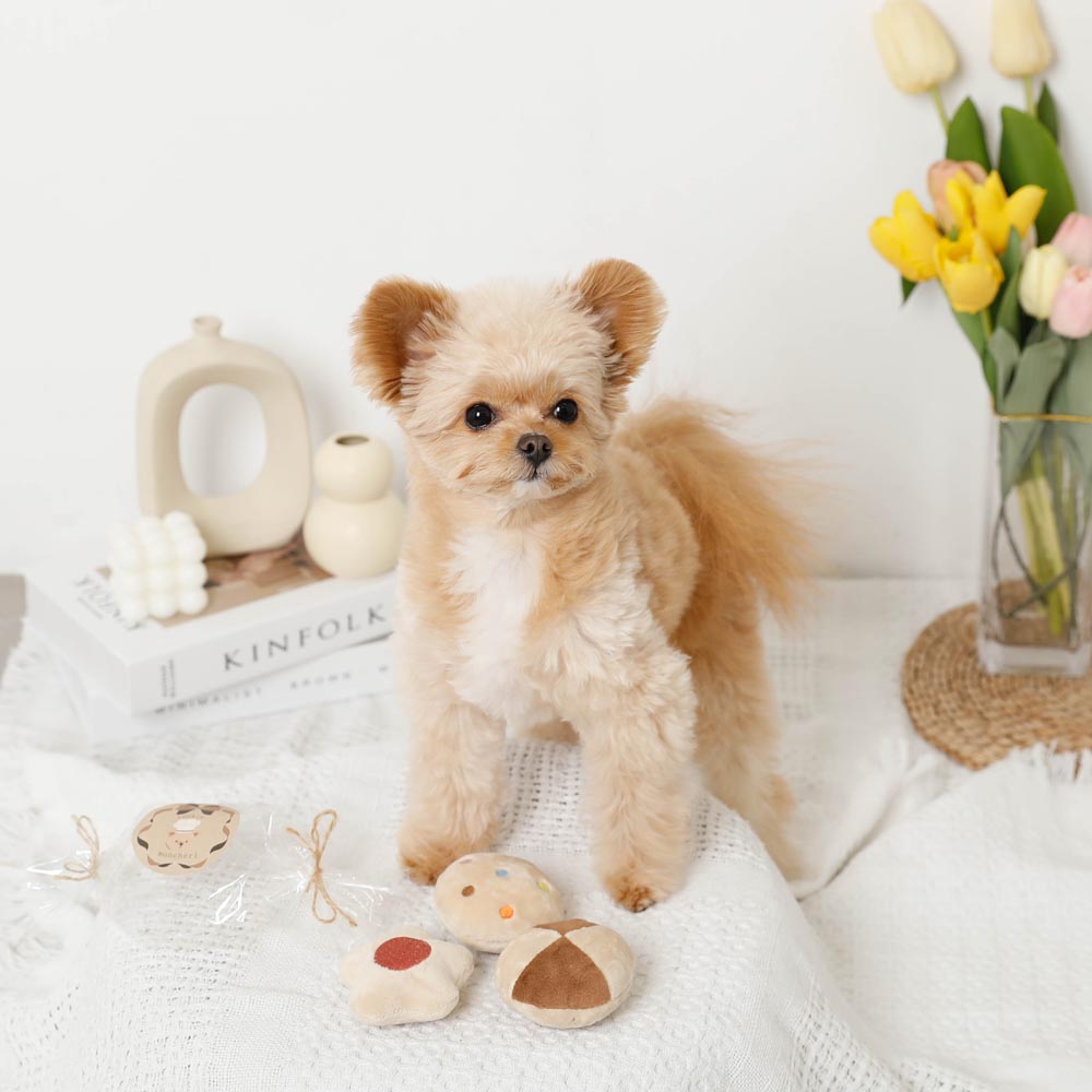 饼干包装鼻子工作玩具