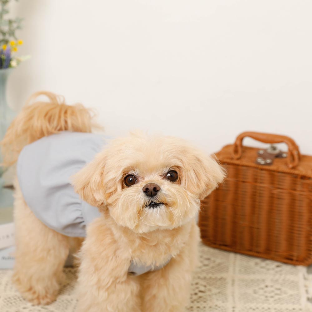 冷感フラワーブーケ刺繍キャミワンピース