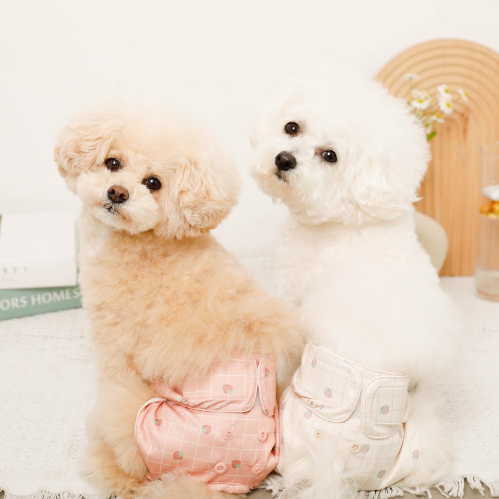 Strawberry plaid sanitary pants