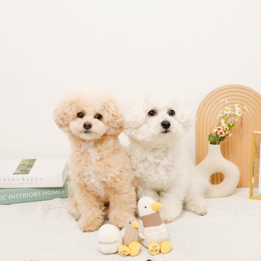 Nagano duck parent and child SET