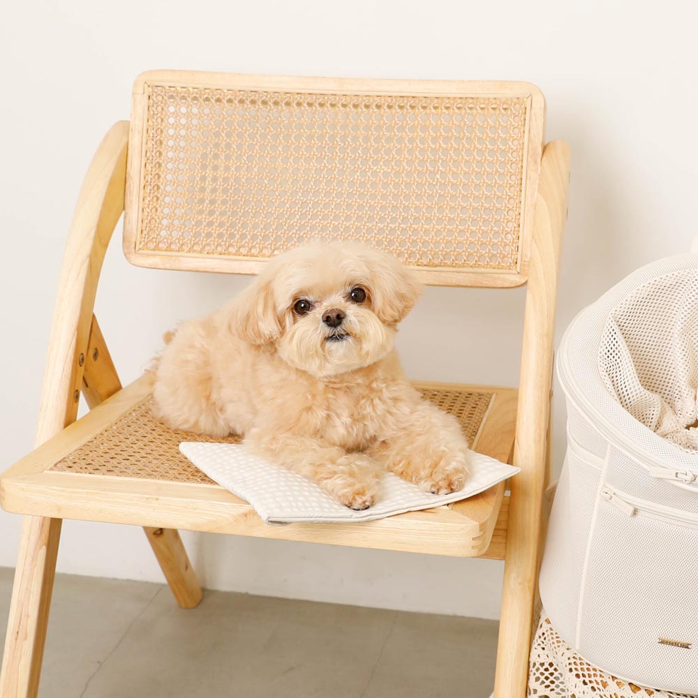 保冷保温チェックポーチ【保冷剤付き】