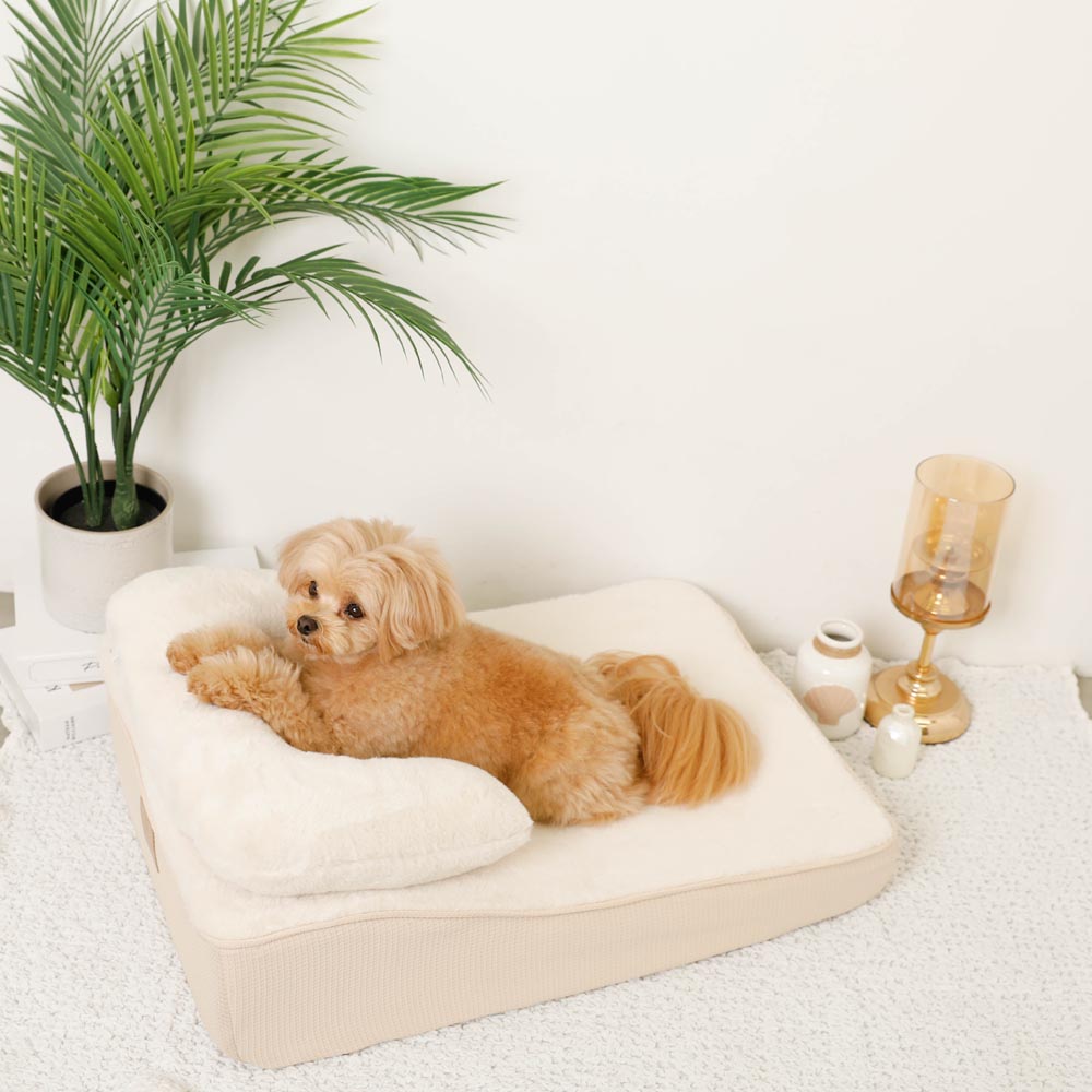 带低回弹枕头的斜坡床垫