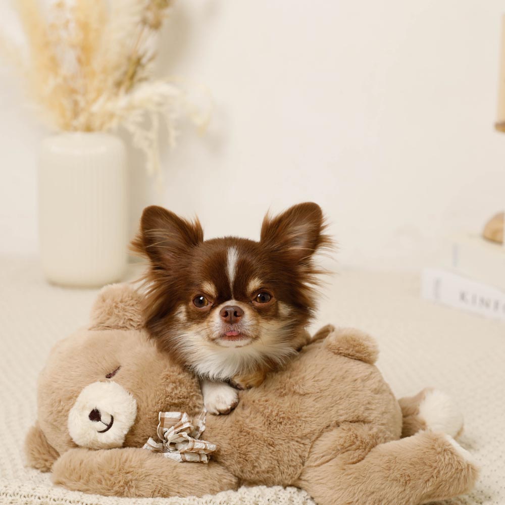 Sleeping bear stuffed toy
