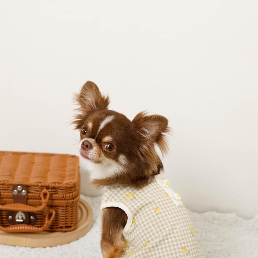 冷感レモンギンガムチェック柄ノースリーブトップス