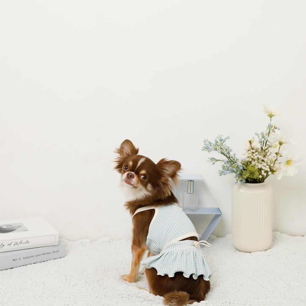 冷感ギンガムチェックキャミソールセットアップ