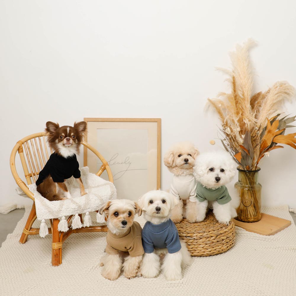 Simple high neck rib tops