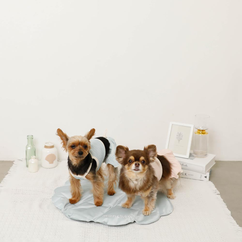 シェルジェルマット