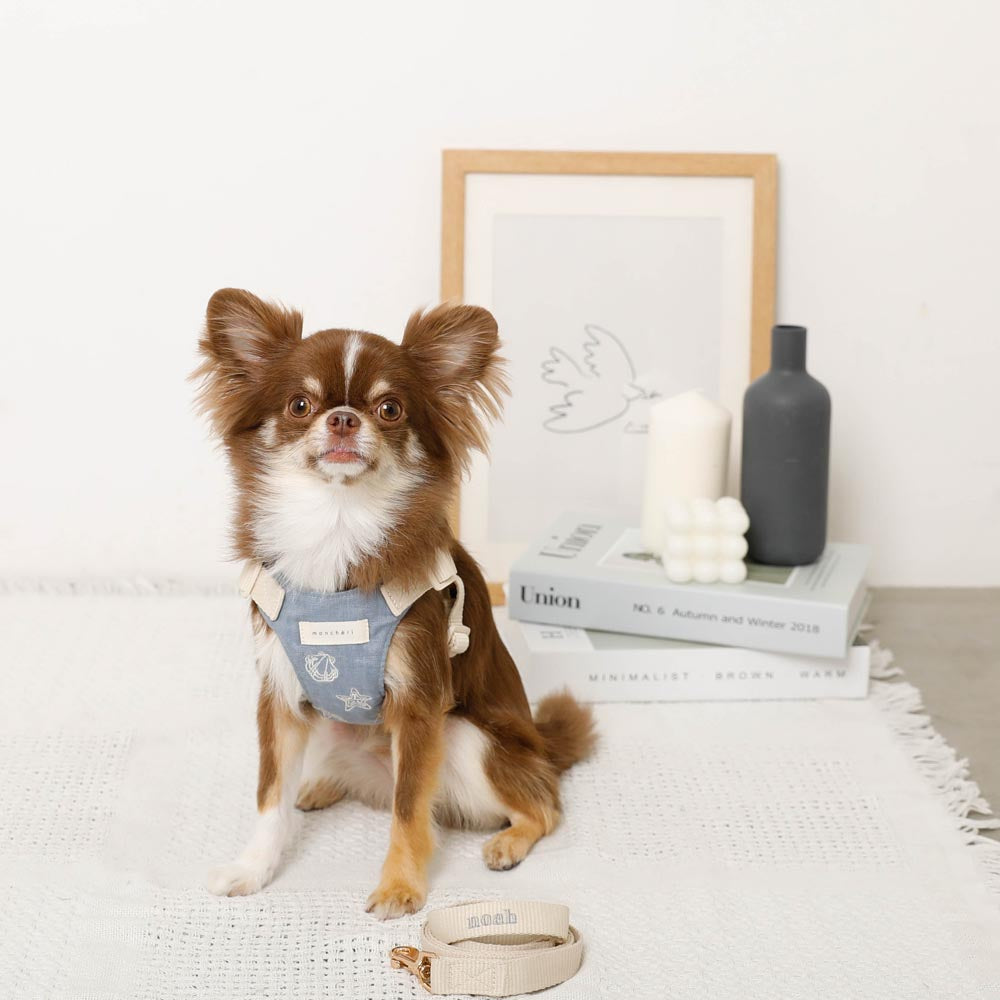 冷感シェルヒトデ柄ハーネス+リードSET【名入れ刺繍対応】