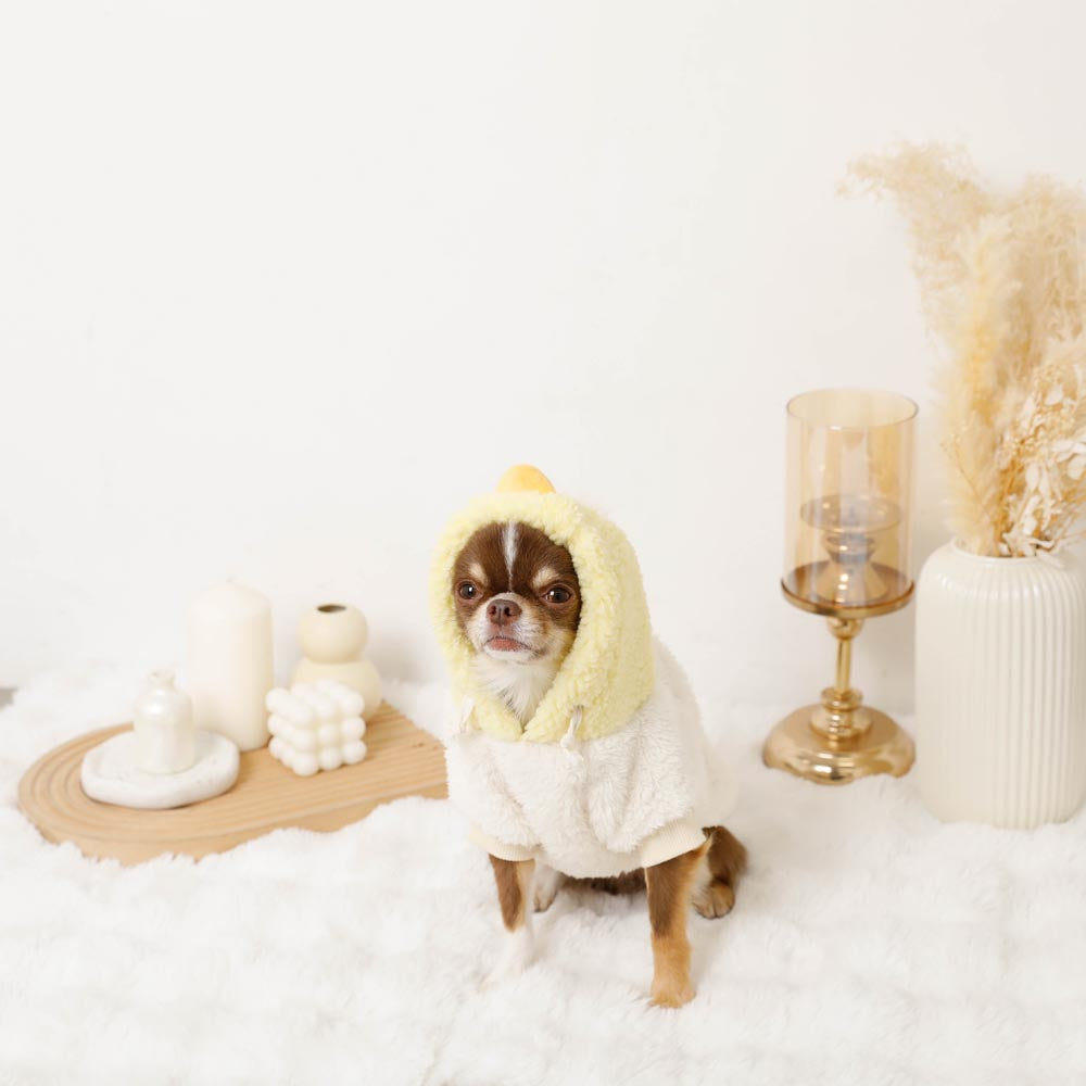 小鸡先生bohood派克