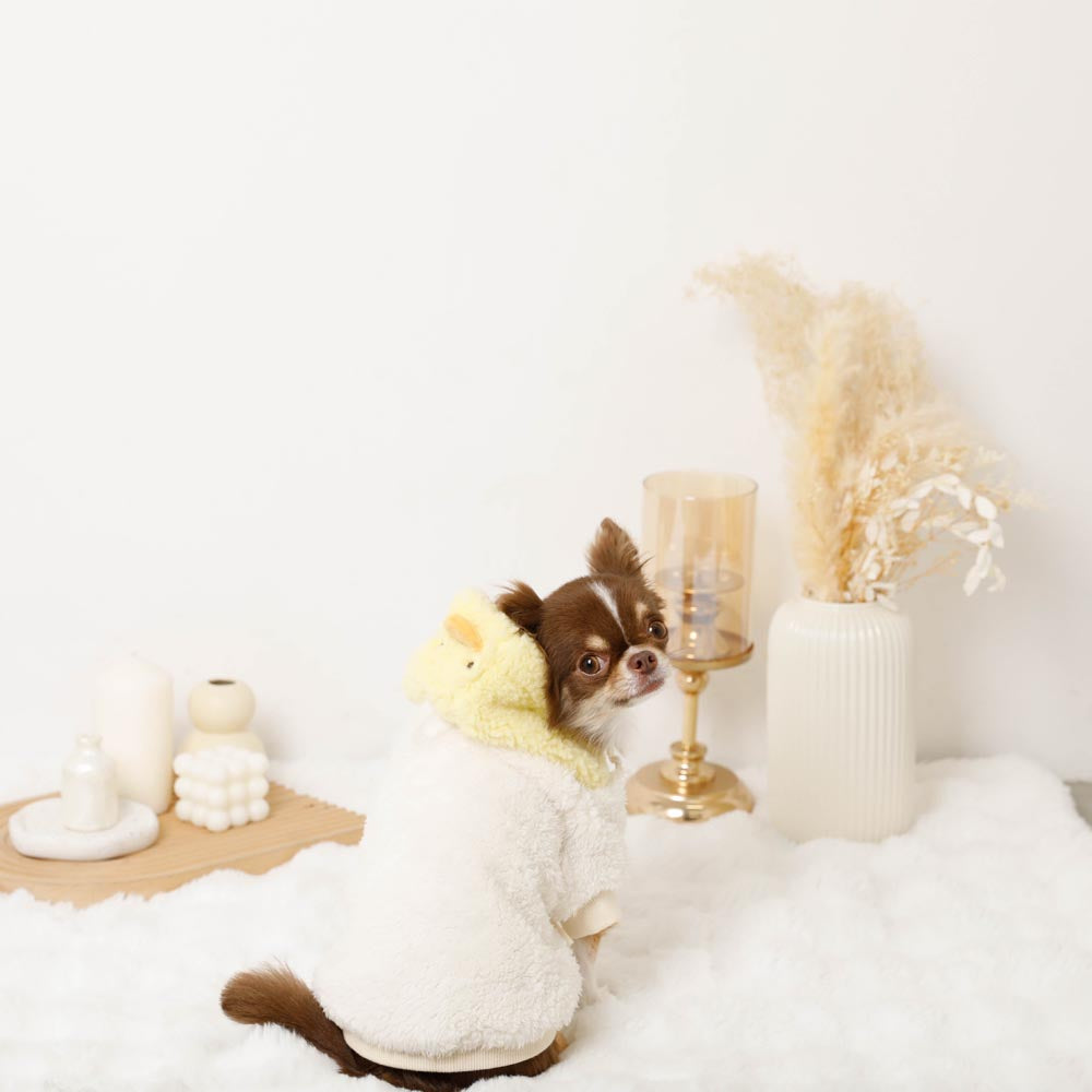 小鸡先生bohood派克