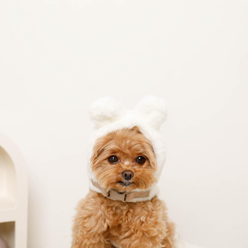 Hood fur harness with rabbit ears