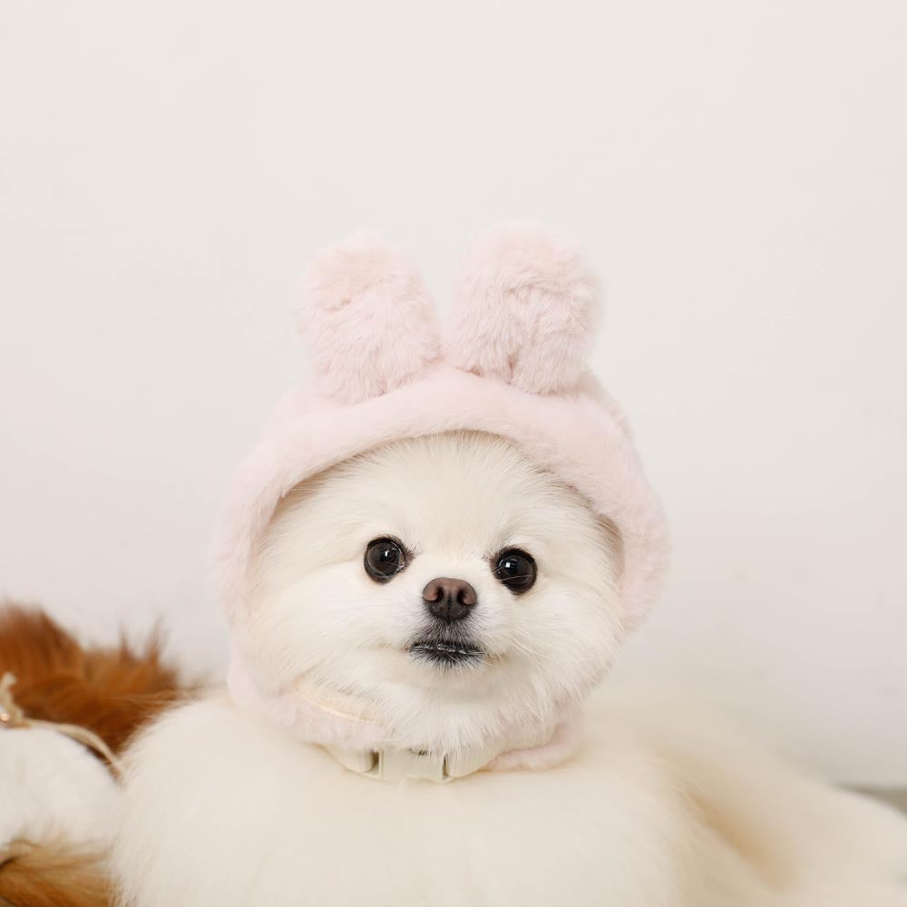 Hood fur harness with rabbit ears