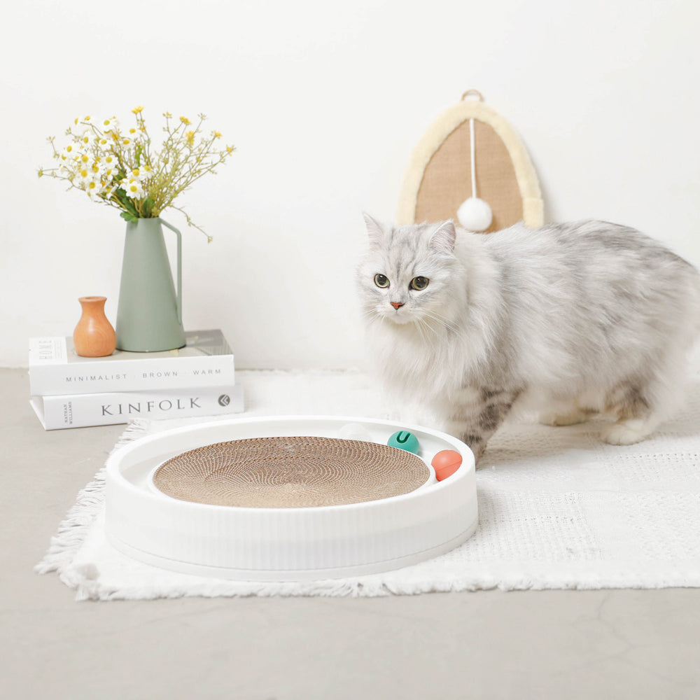 带圆滚滚球的圆指甲磨