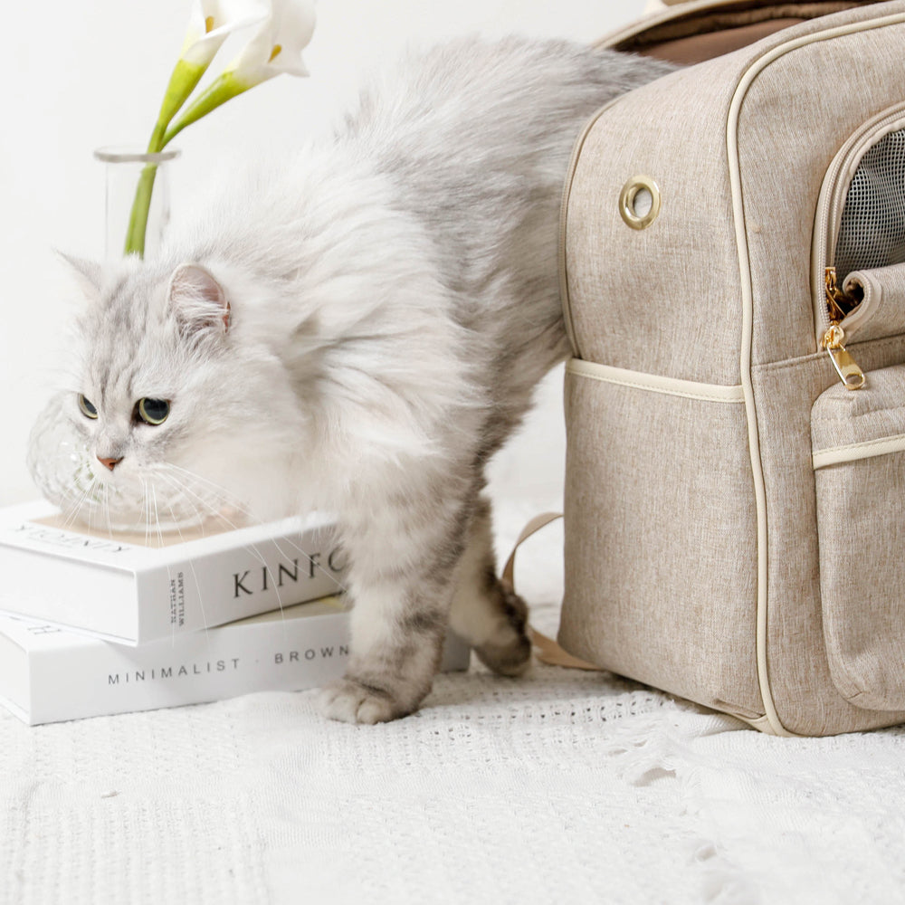 パイピングリュックキャリー