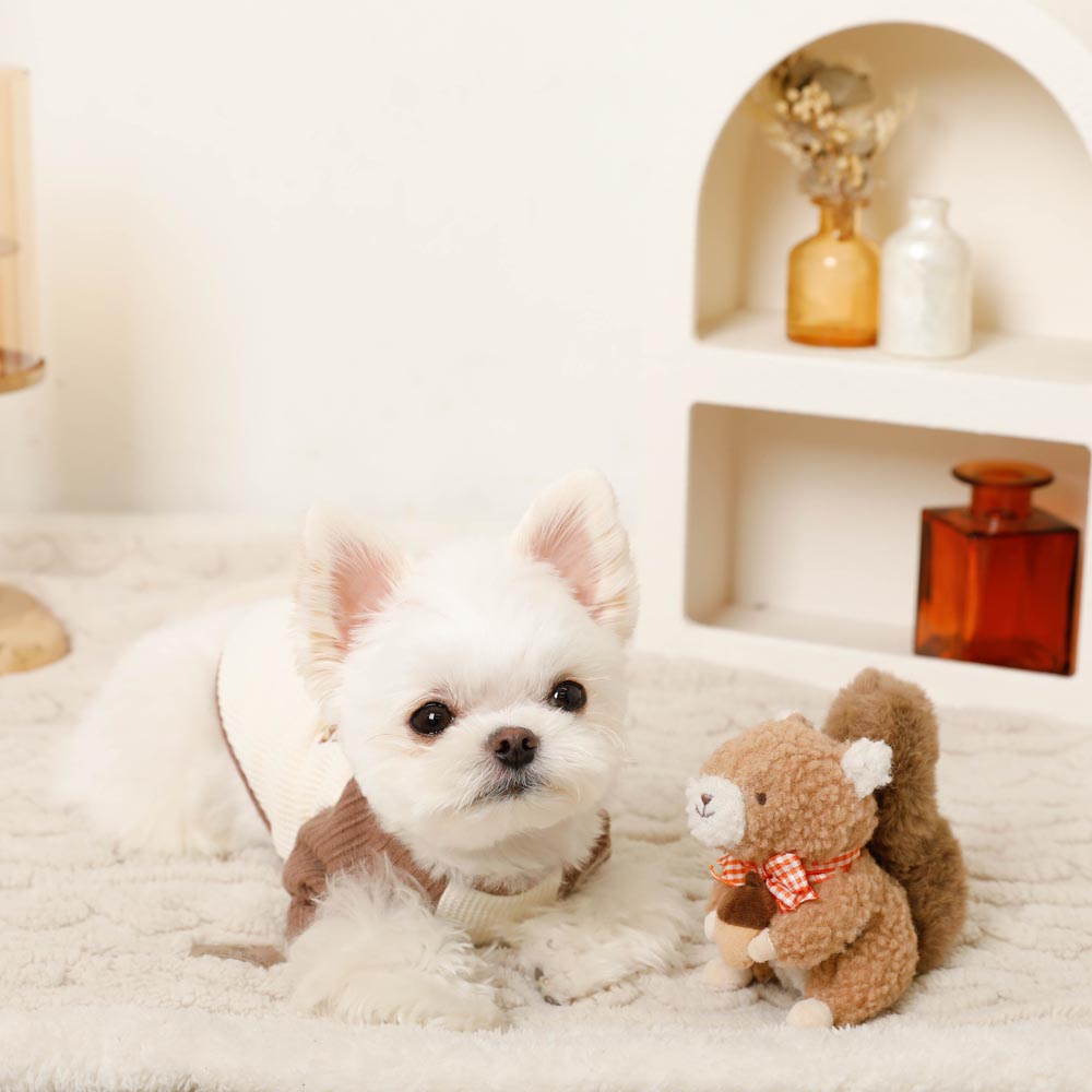 Squirrel gingham check ribbon plush toy