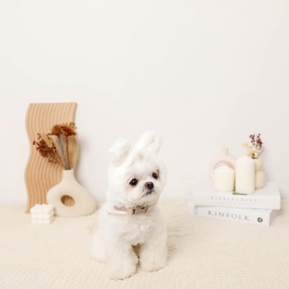 Hood fur harness with rabbit ears