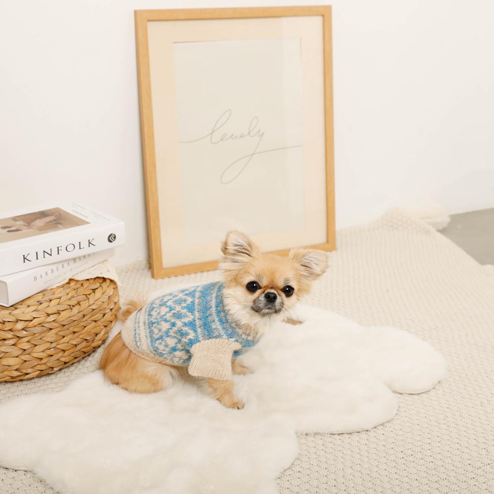 nordic pattern knit