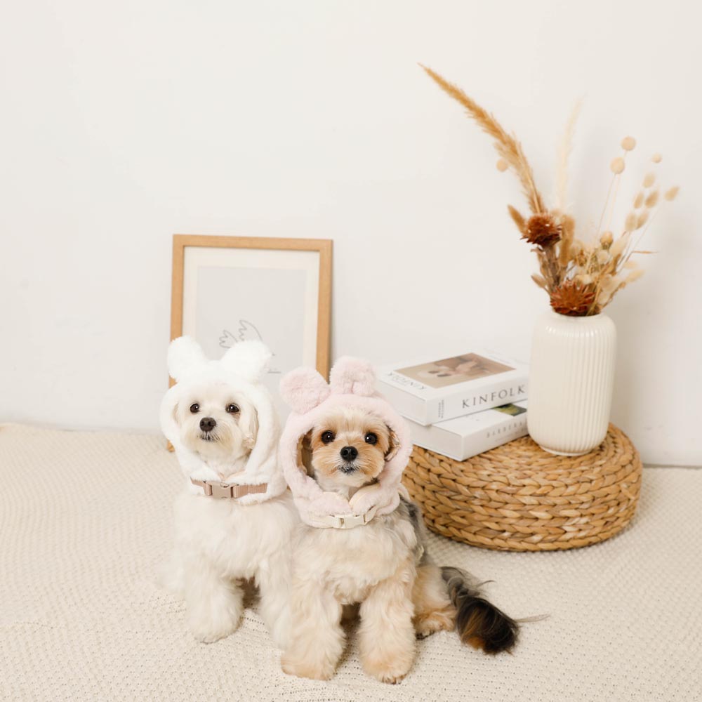 Hood fur harness with rabbit ears