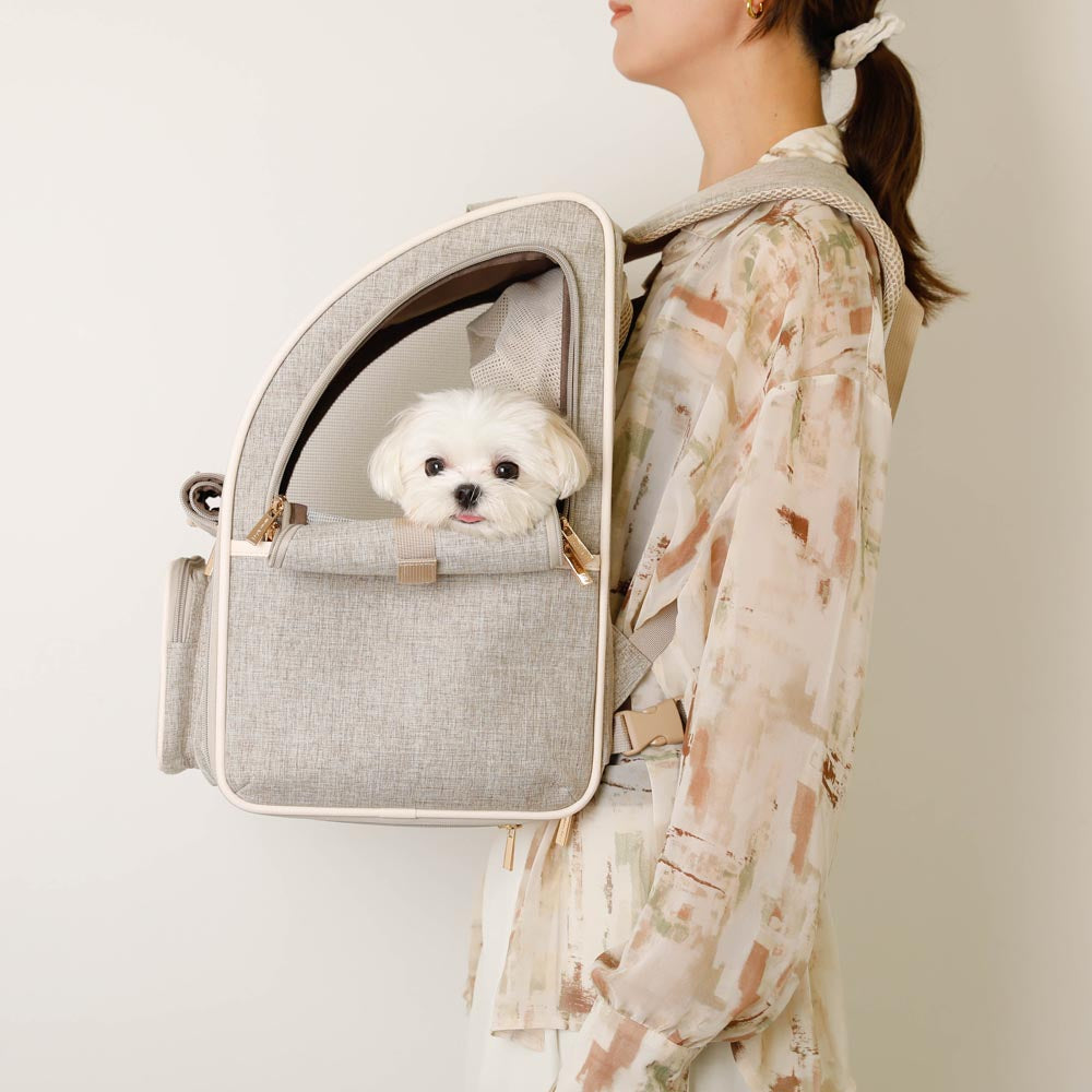 拡張パイピングリュックキャリー