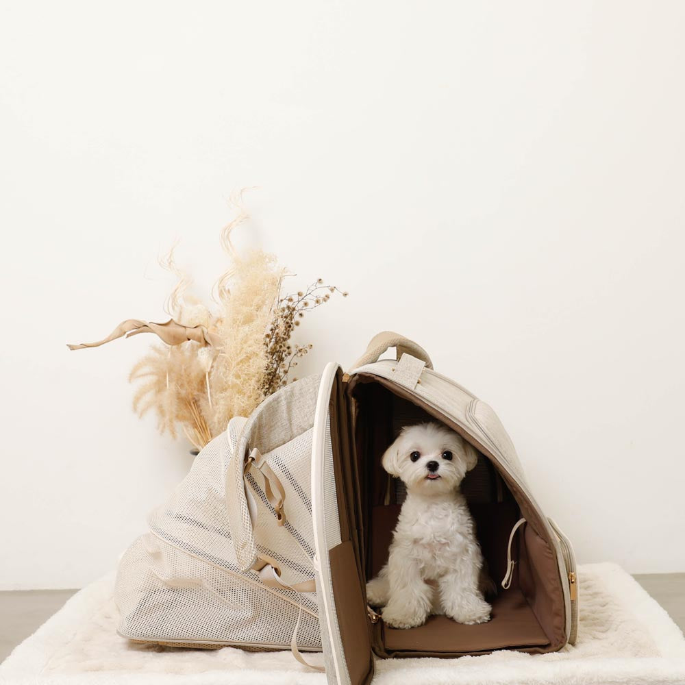 拡張パイピングリュックキャリー