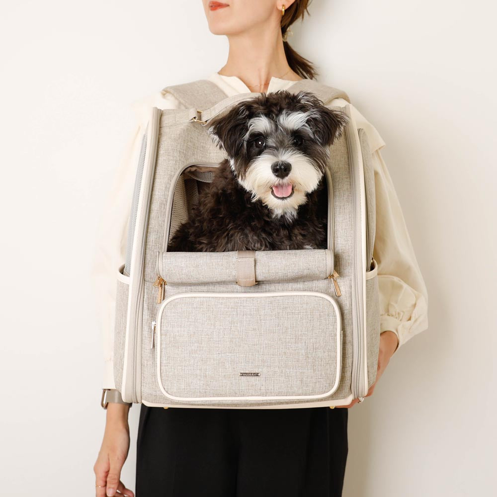 拡張パイピングリュックキャリー