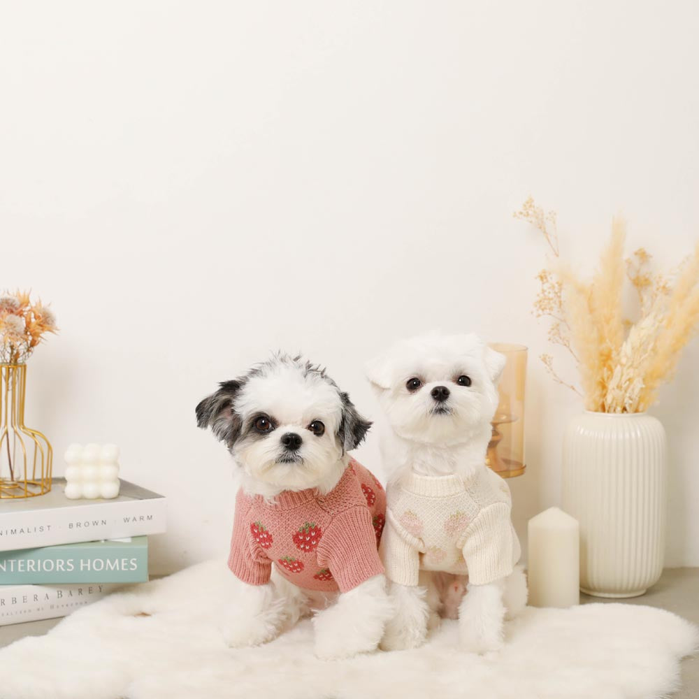 strawberry pattern knit tops