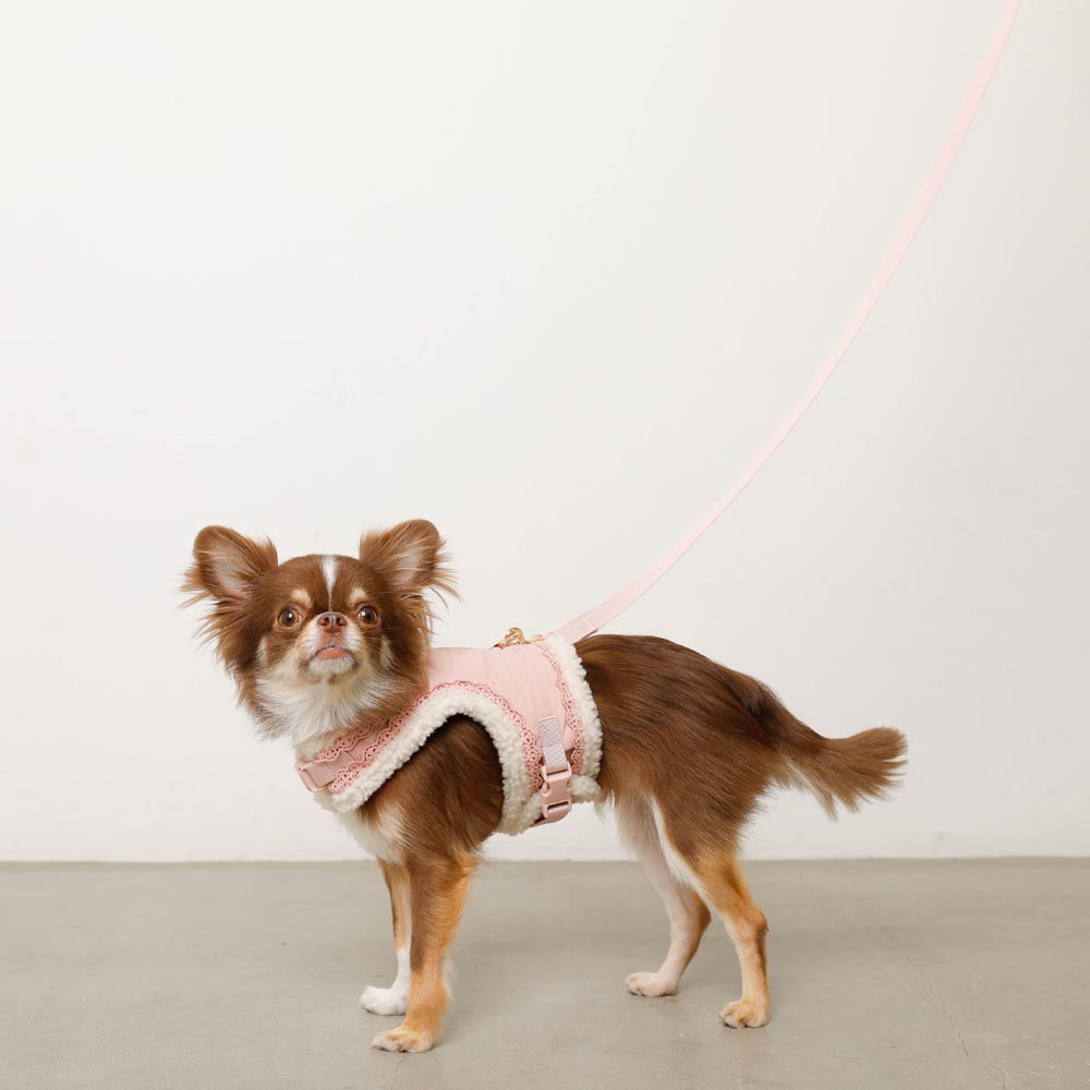 キルティングボアレースハーネス+リードSET【名入れ刺繍対応】