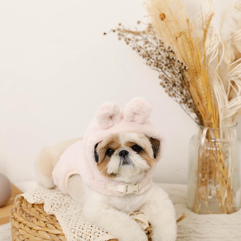 Hood fur harness with rabbit ears