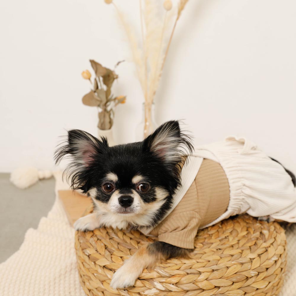 Simple high neck rib tops