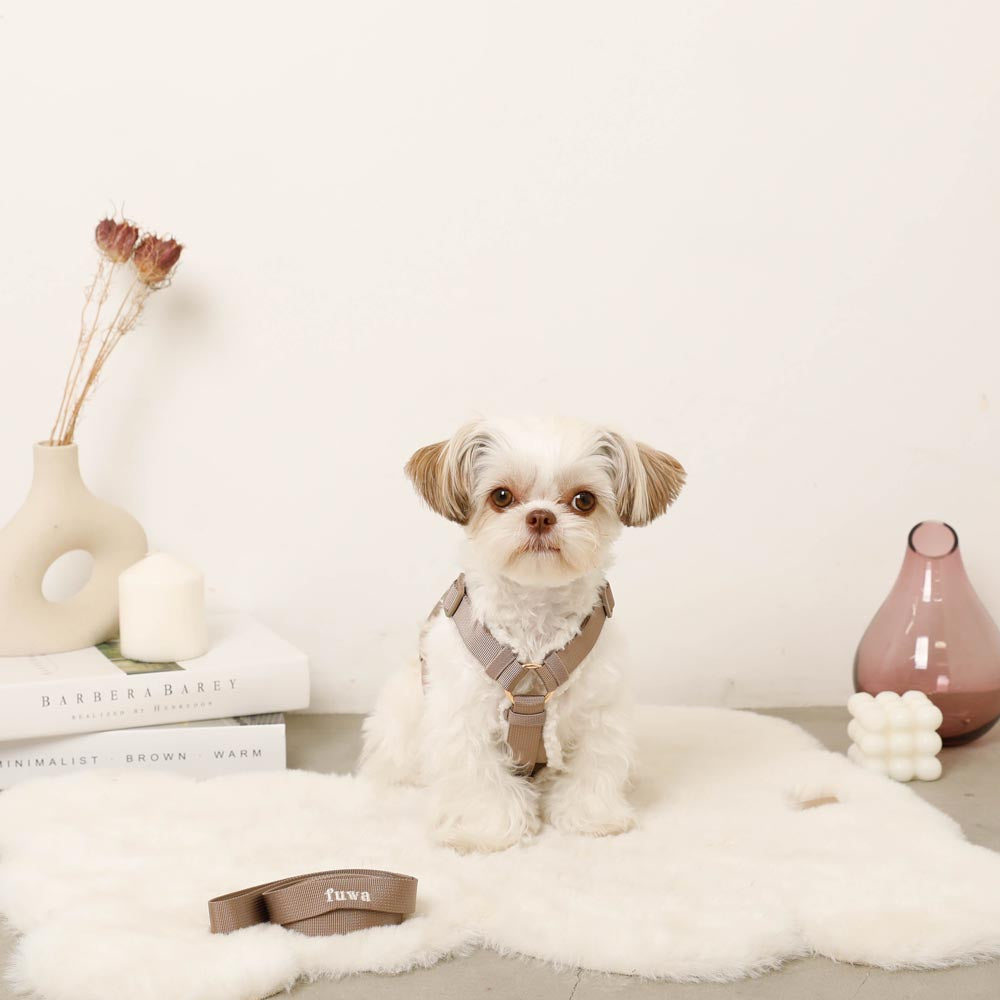 孔线束+引线SET【对应名称刺绣】