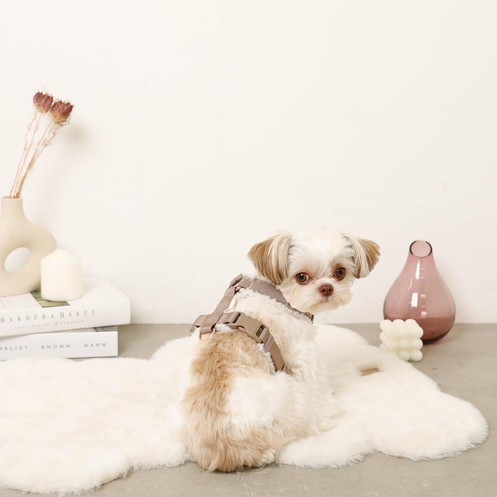 ボアハーネス+リードSET【名入れ刺繍対応】