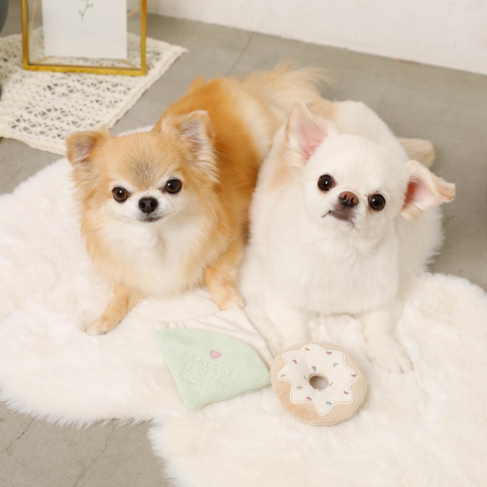 ring donut toy