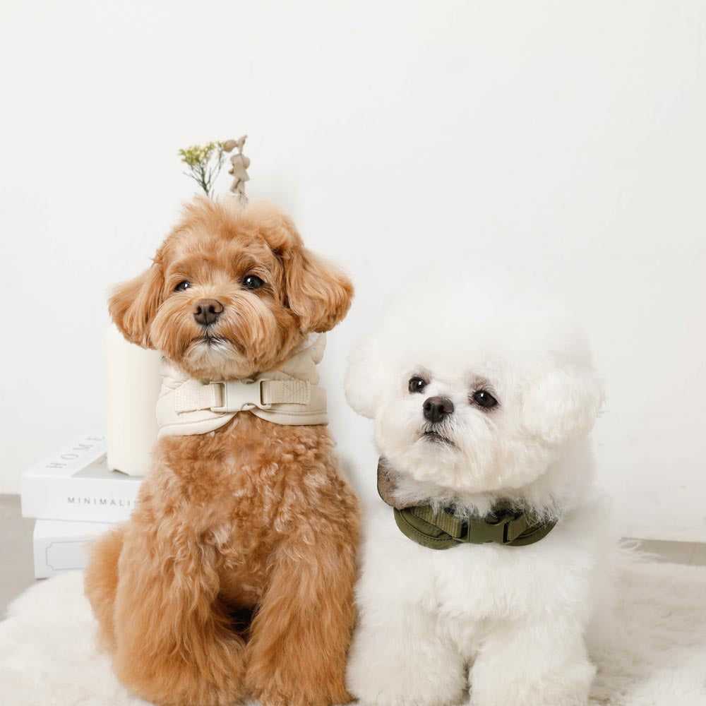 フード付きキルティングダウンライクハーネス+リードSET【名入れ刺繍対応】