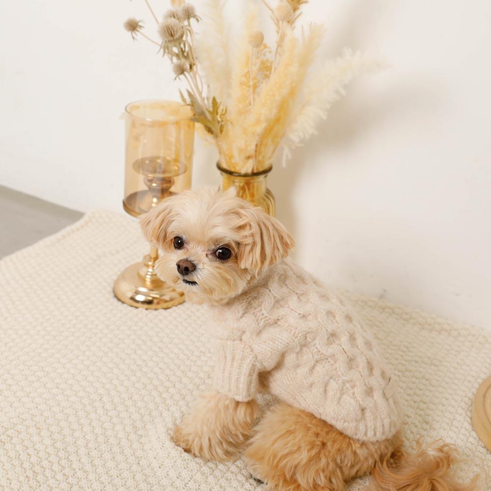 ケーブルドロップショルダーニット(愛犬ちゃん用)