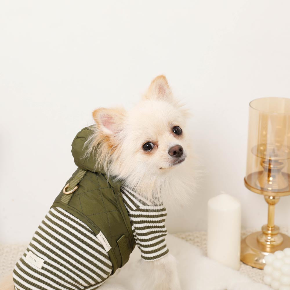 フード付きキルティングダウンライクハーネス+リードSET【名入れ刺繍対応】