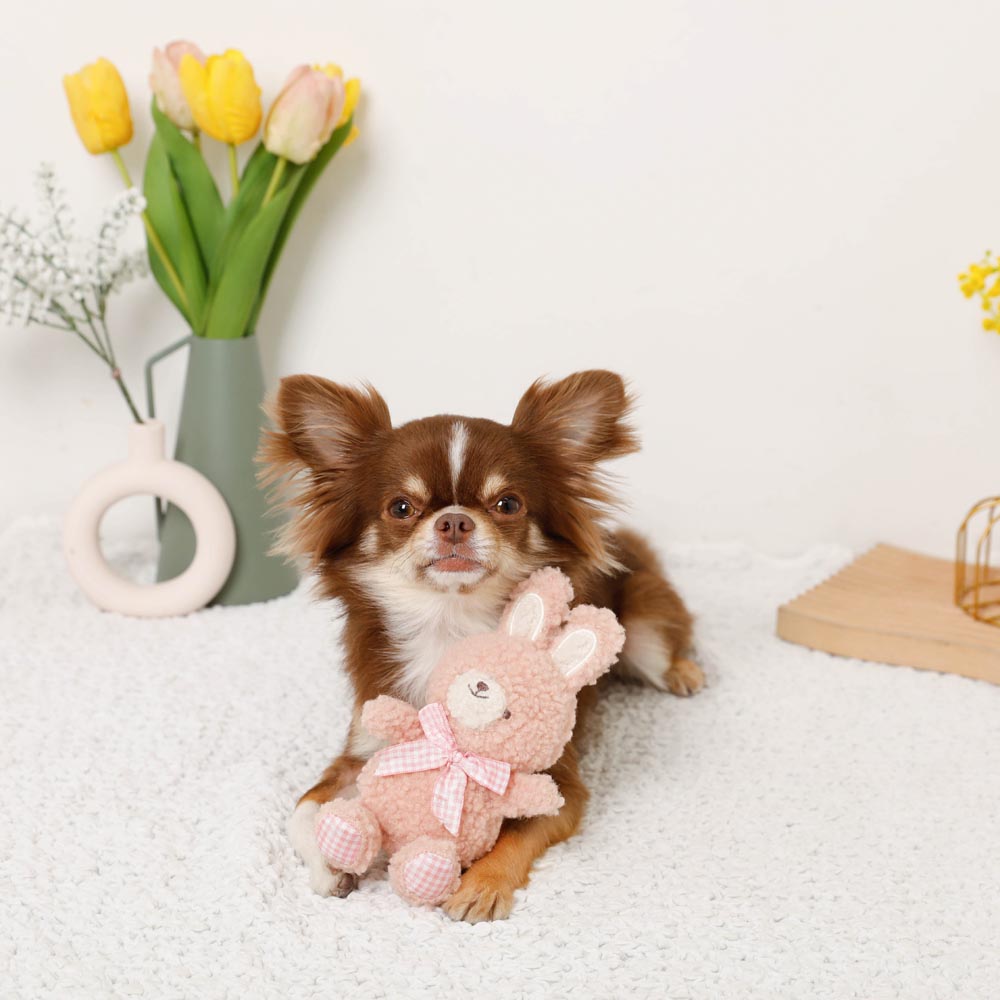 Rabbit gingham check ribbon stuffed toy