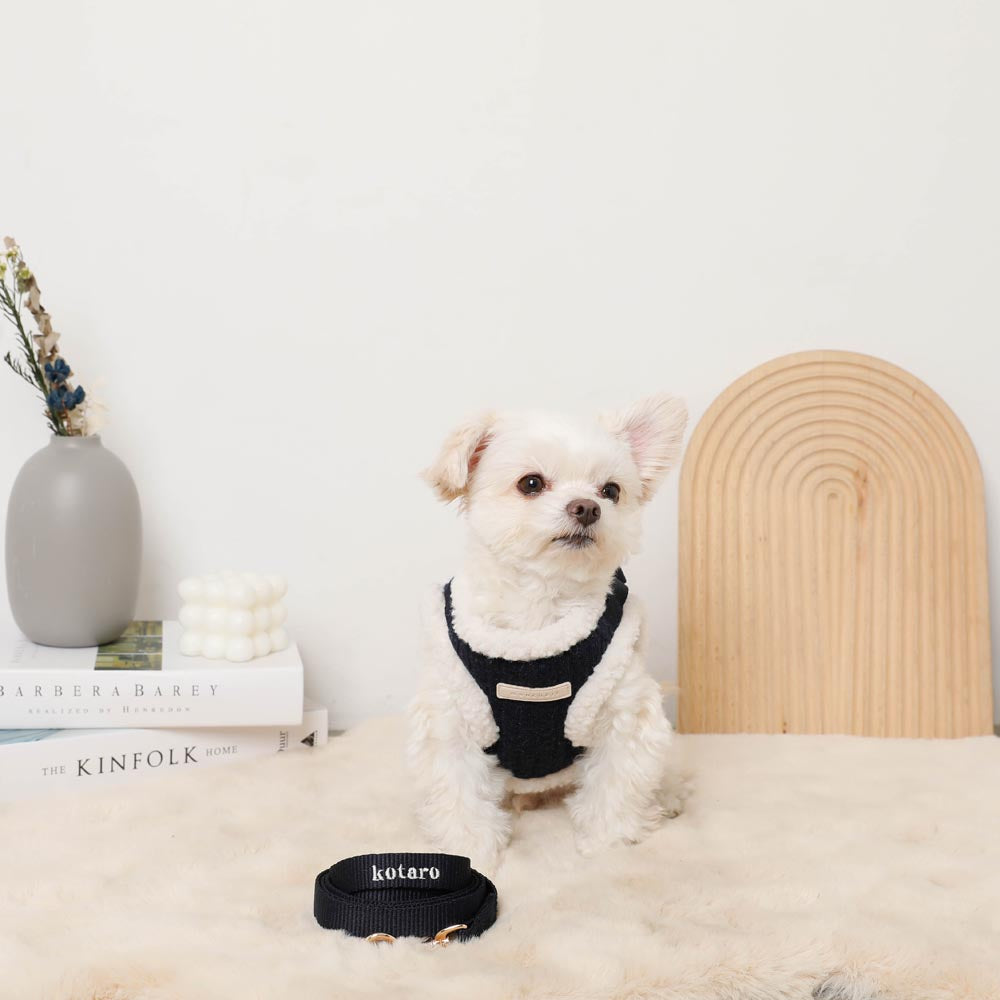 ニットボアハーネス+リードSET【名入れ刺繍対応】