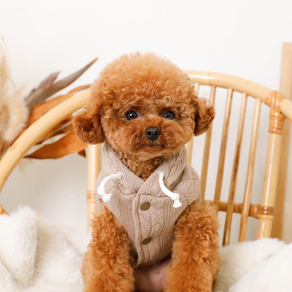Hooded cable-like vest