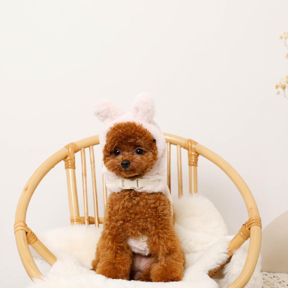 Hood fur harness with rabbit ears