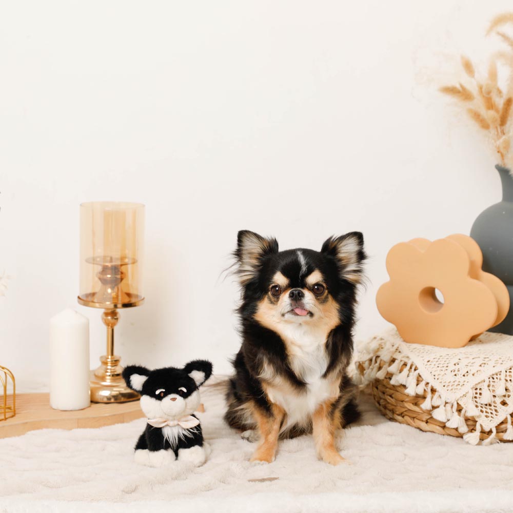 black dog stuffed toy